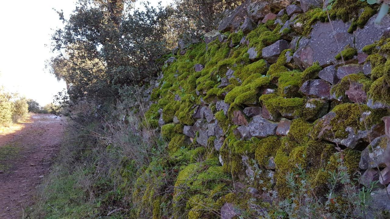 Casa Rural El Arco Ла-Эстрелья Экстерьер фото