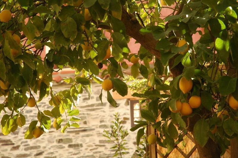Casa Rural El Arco Ла-Эстрелья Экстерьер фото